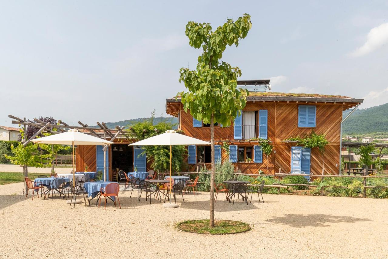 Casa Viva Panzió Marciaga Kültér fotó